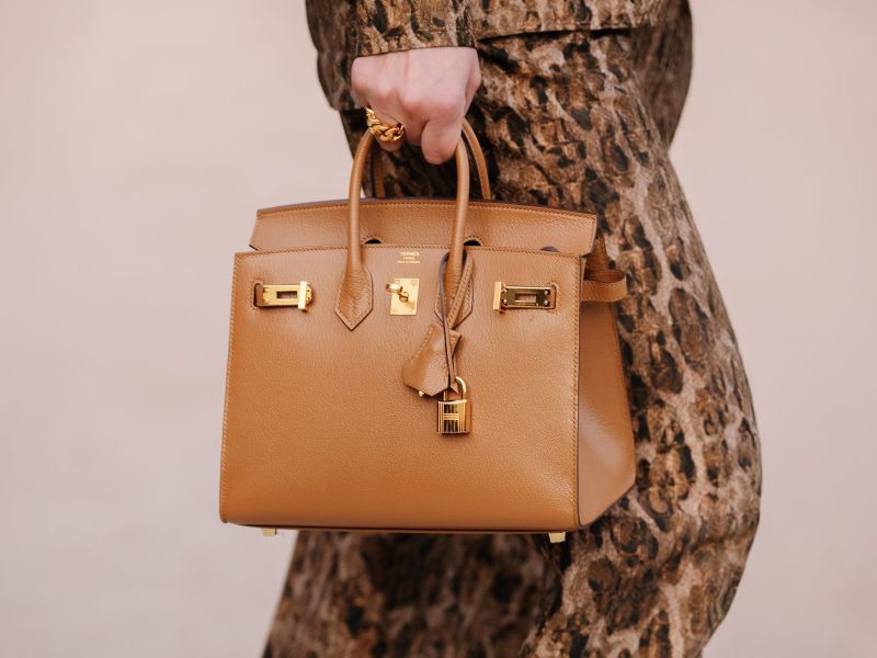 A person holding a stylish brown designer handbag with gold accents, set against a soft neutral background.