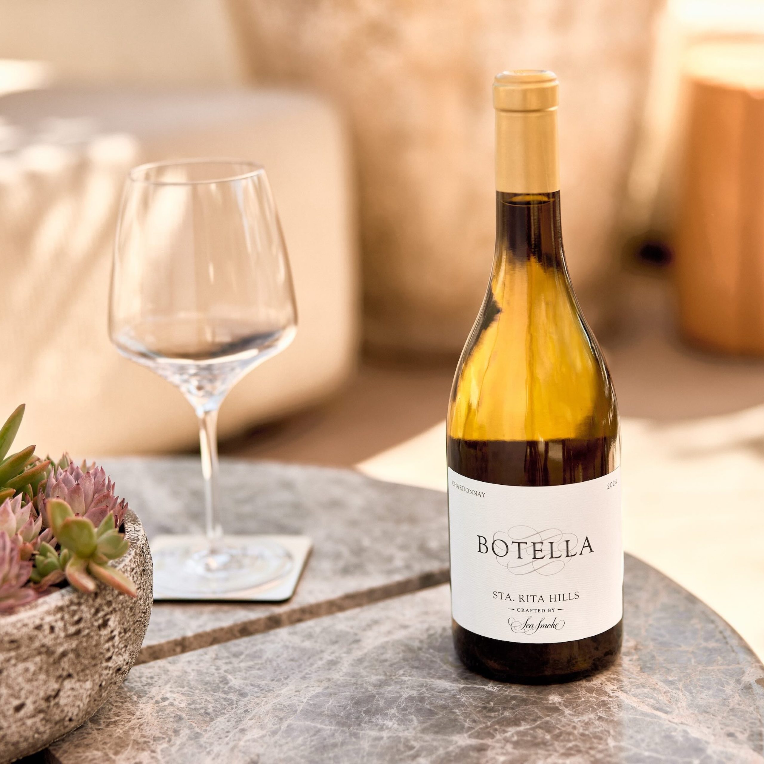 Botella wine bottle displayed with a glass and a succulent arrangement on a marble table.