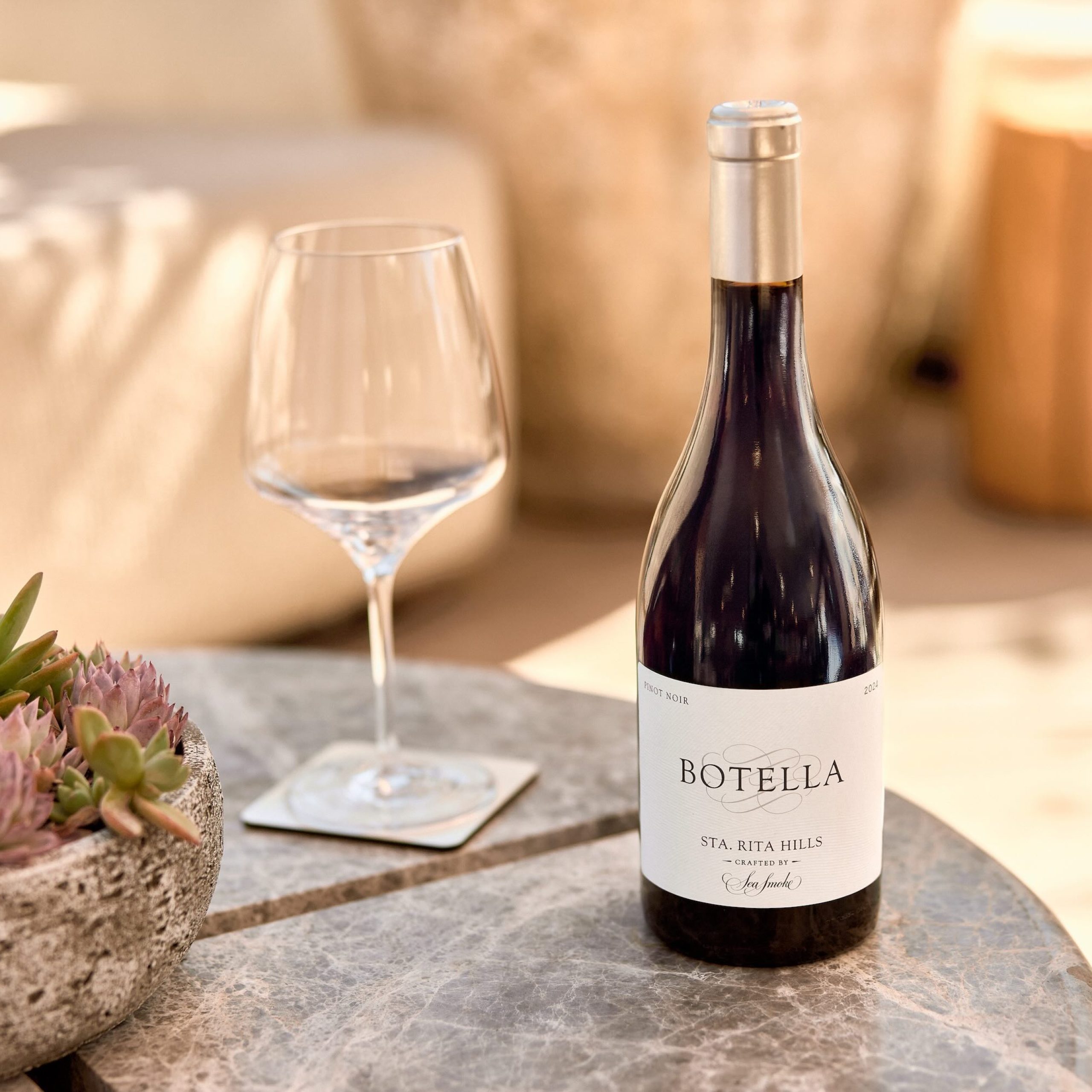 Botella wine bottle with a glass and a succulent arrangement on a table in a cozy setting.