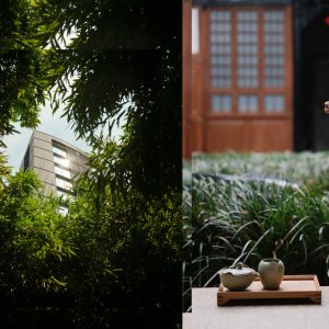 A modern building viewed through lush greenery, with a woman enjoying tea in a serene garden setting.