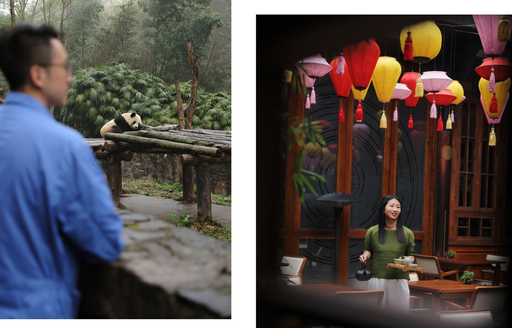 A panda rests on a wooden structure while a woman serves tea under colorful lanterns in a cozy setting.