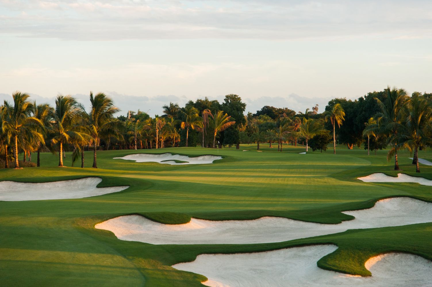 Expansive green golf course with sand traps and palm trees under a peaceful sky at a luxurious South Florida resort.