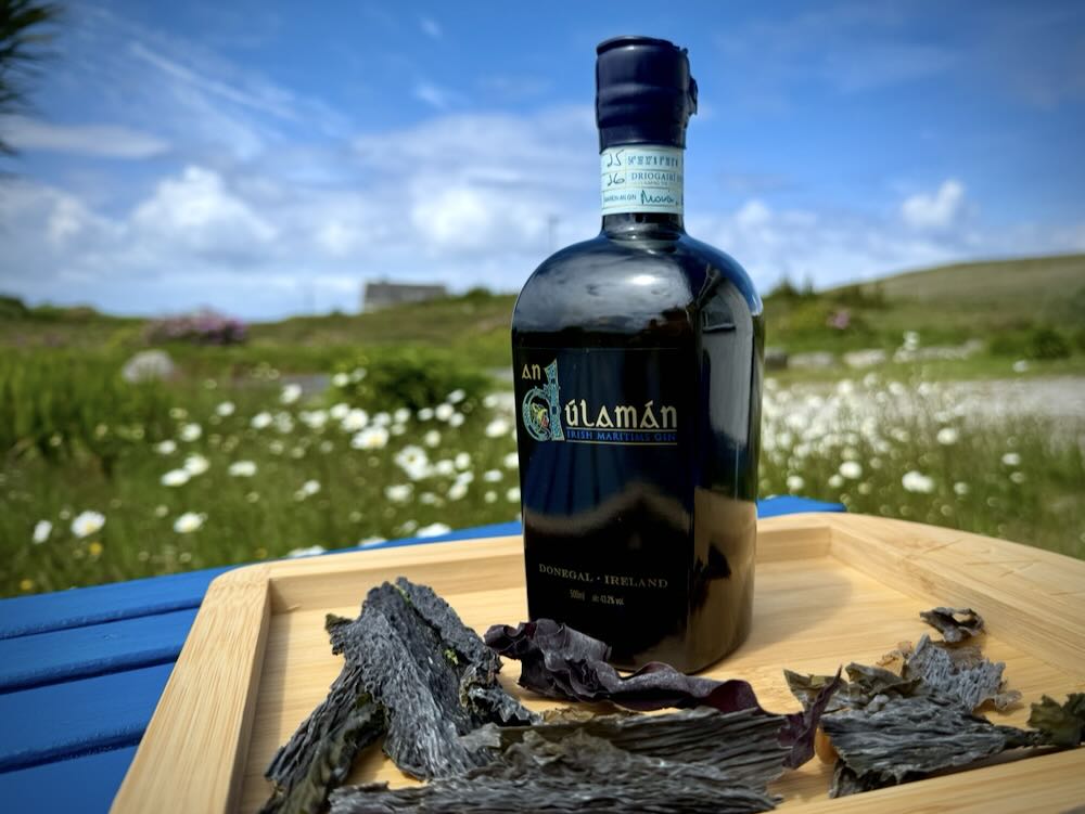 A bottle of Dúnedain gin on a bamboo tray with seaweed, set against a grassy landscape on World Gin Day.