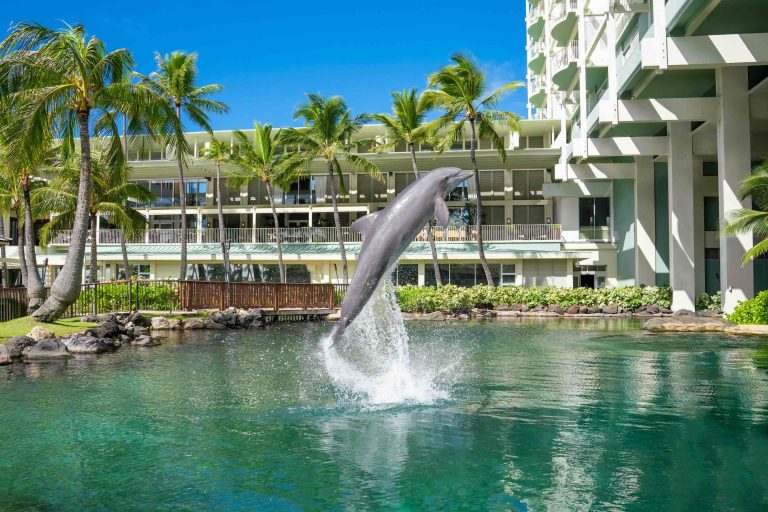 A dolphin leaps out of the water in front of The Kahala Hotel & Resort, surrounded by palm trees and a clear blue sky.