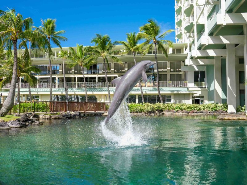 A dolphin leaps out of the water in front of The Kahala Hotel & Resort, surrounded by palm trees and a clear blue sky.