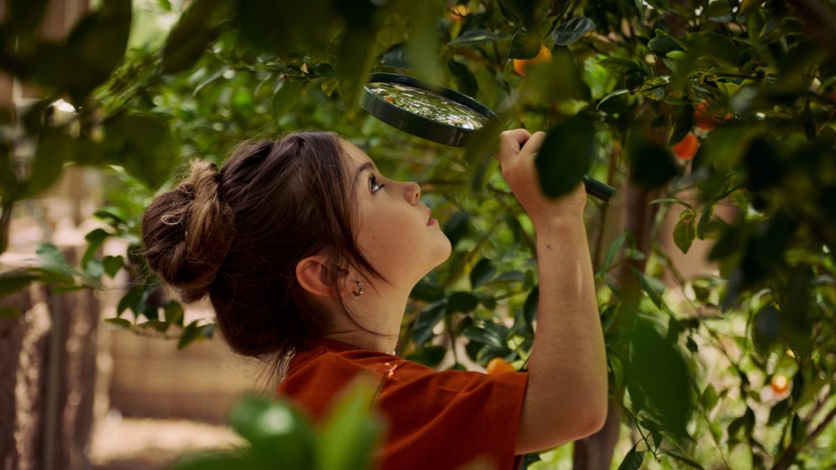 A child examines a plant closely with a magnifying glass in a lush, green environment.