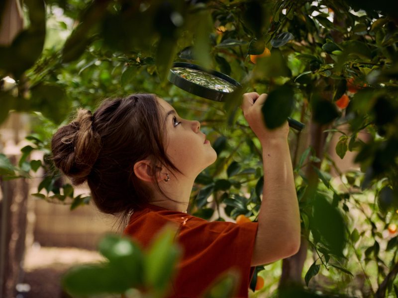 A child examines a plant closely with a magnifying glass in a lush, green environment.