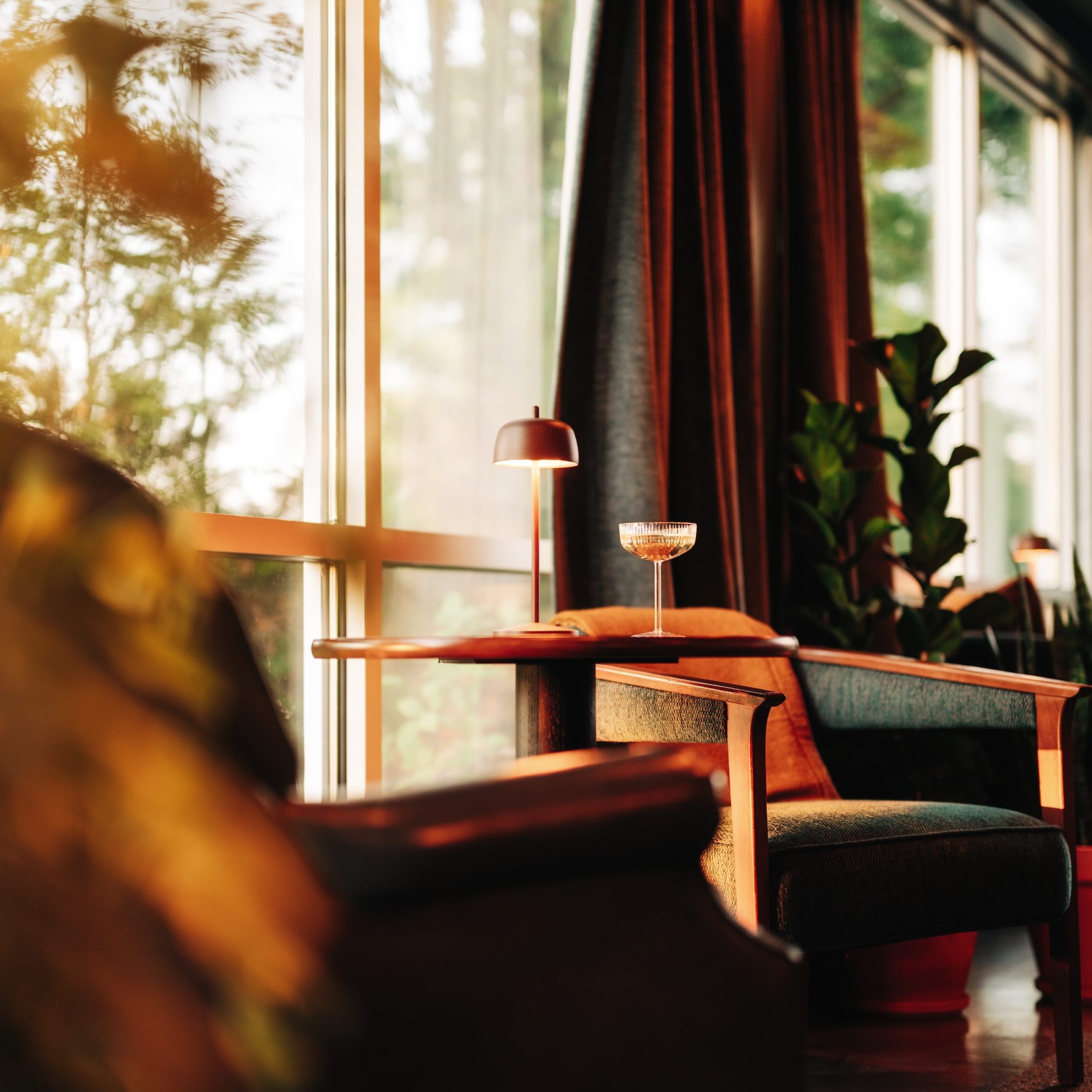 Cozy seating area in Dexter Hotel, featuring a stylish lamp and a cocktail, with large windows and lush plants.