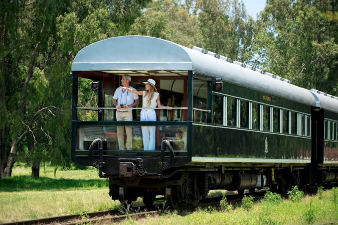 Couple enjoying the view from a vintage train carriage surrounded by lush greenery.