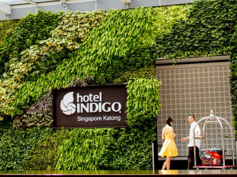 Contemporary hotel entrance featuring lush greenery and the Hotel Indigo sign in Singapore Katong.