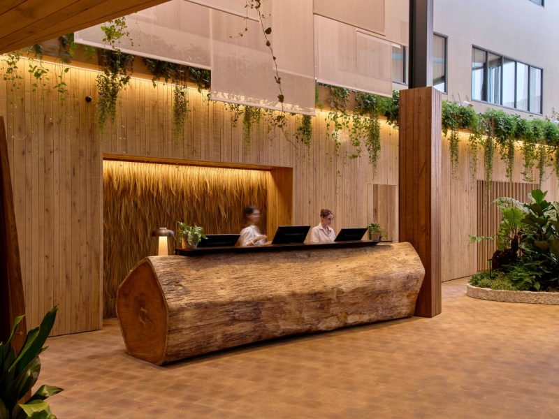 Reception area of an eco-luxury retreat featuring wooden decor, lush greenery, and staff at a natural log desk.