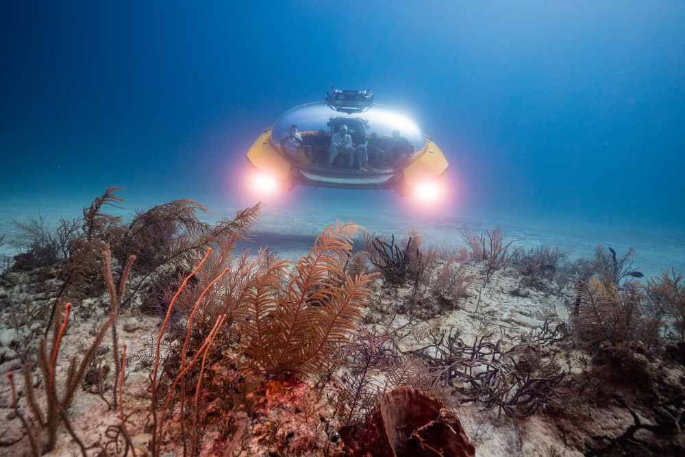 A submarine exploring an underwater landscape with vibrant marine life and plants in clear blue water.