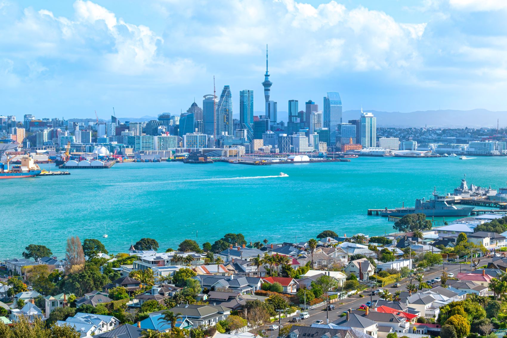 A panoramic view of Auckland's skyline, featuring the Sky Tower and vibrant waters, with houses in the foreground.