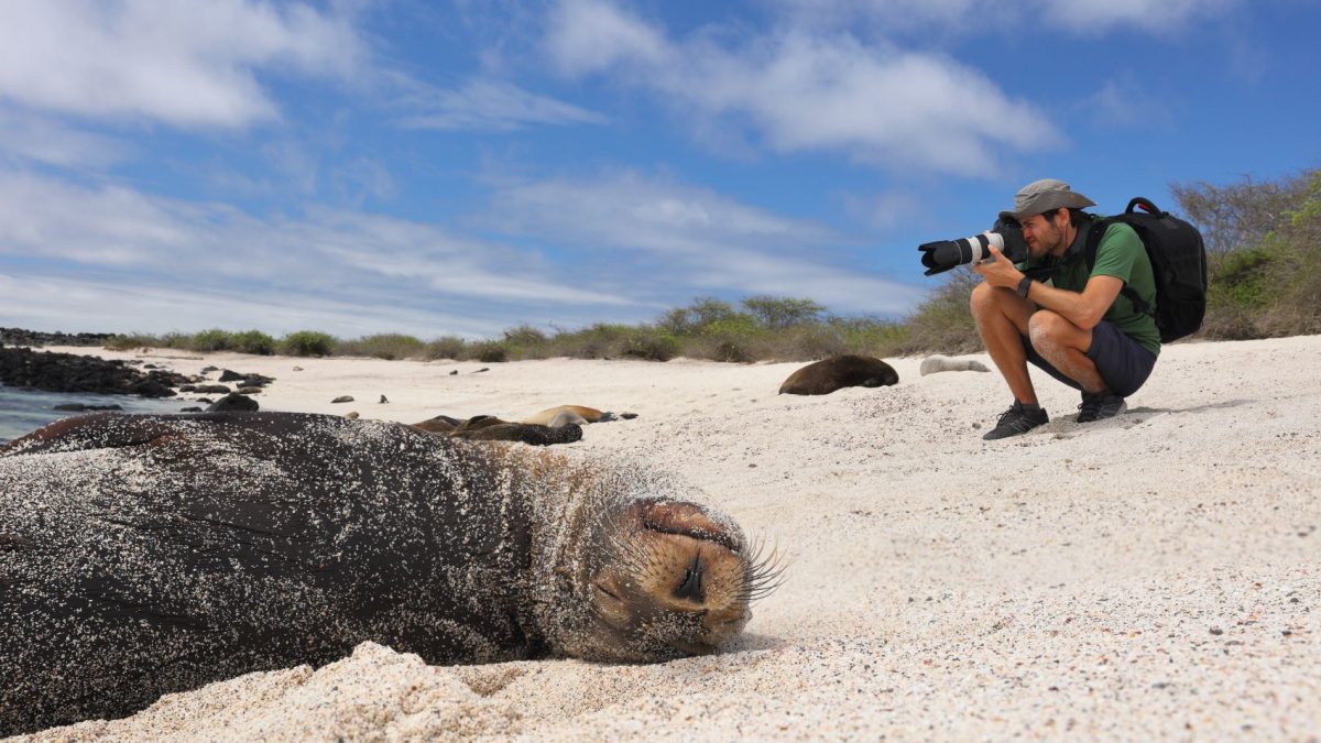 A photographer crouches on a sandy beach while capturing a sea lion basking in the sun in the Galápagos Islands.