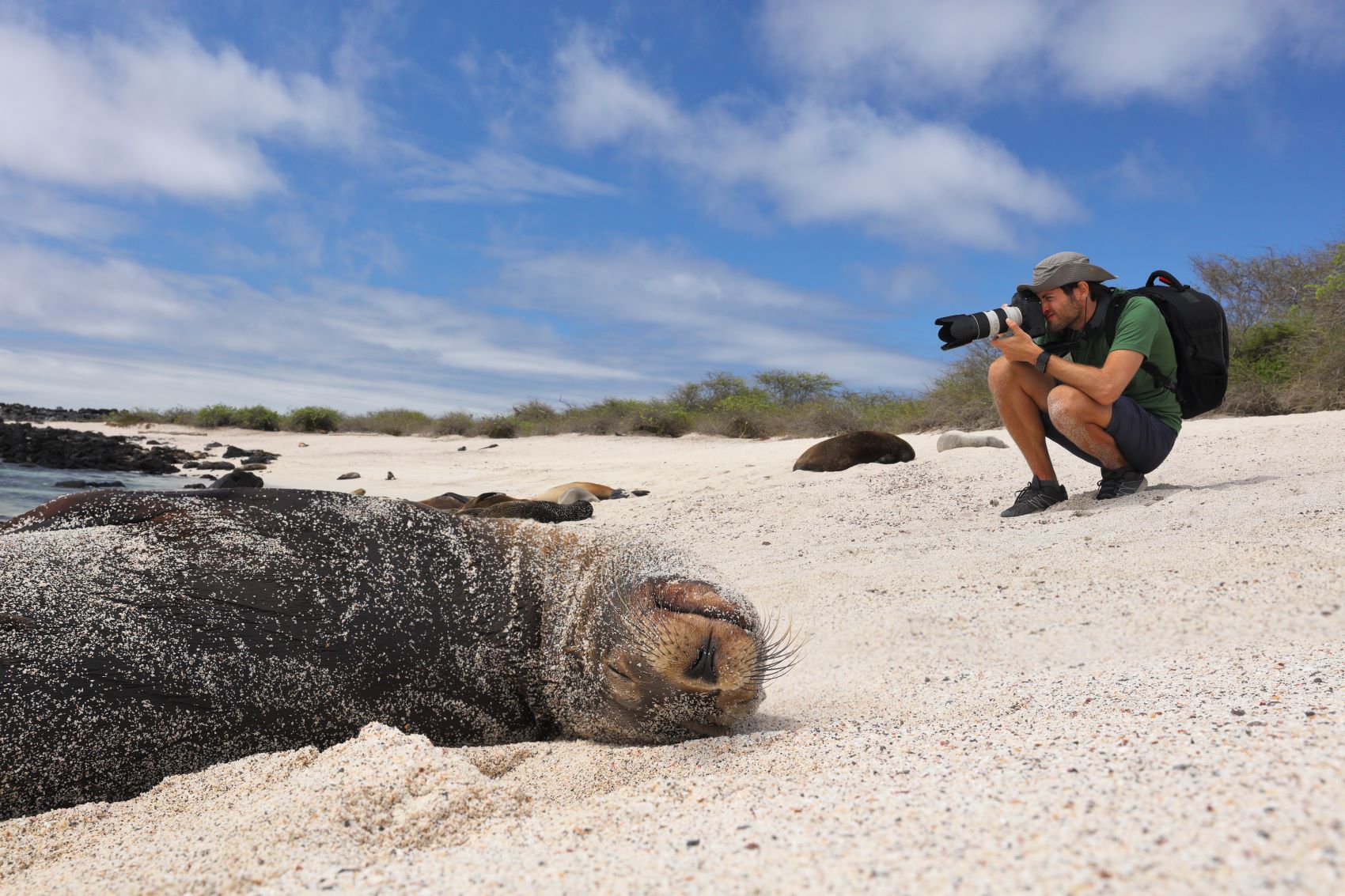 A photographer crouches on a sandy beach while capturing a sea lion basking in the sun in the Galápagos Islands.