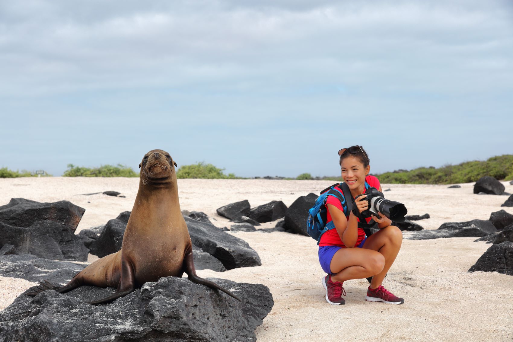 A traveler smiles while photographing a sea lion on the beach in the Galápagos Islands.
