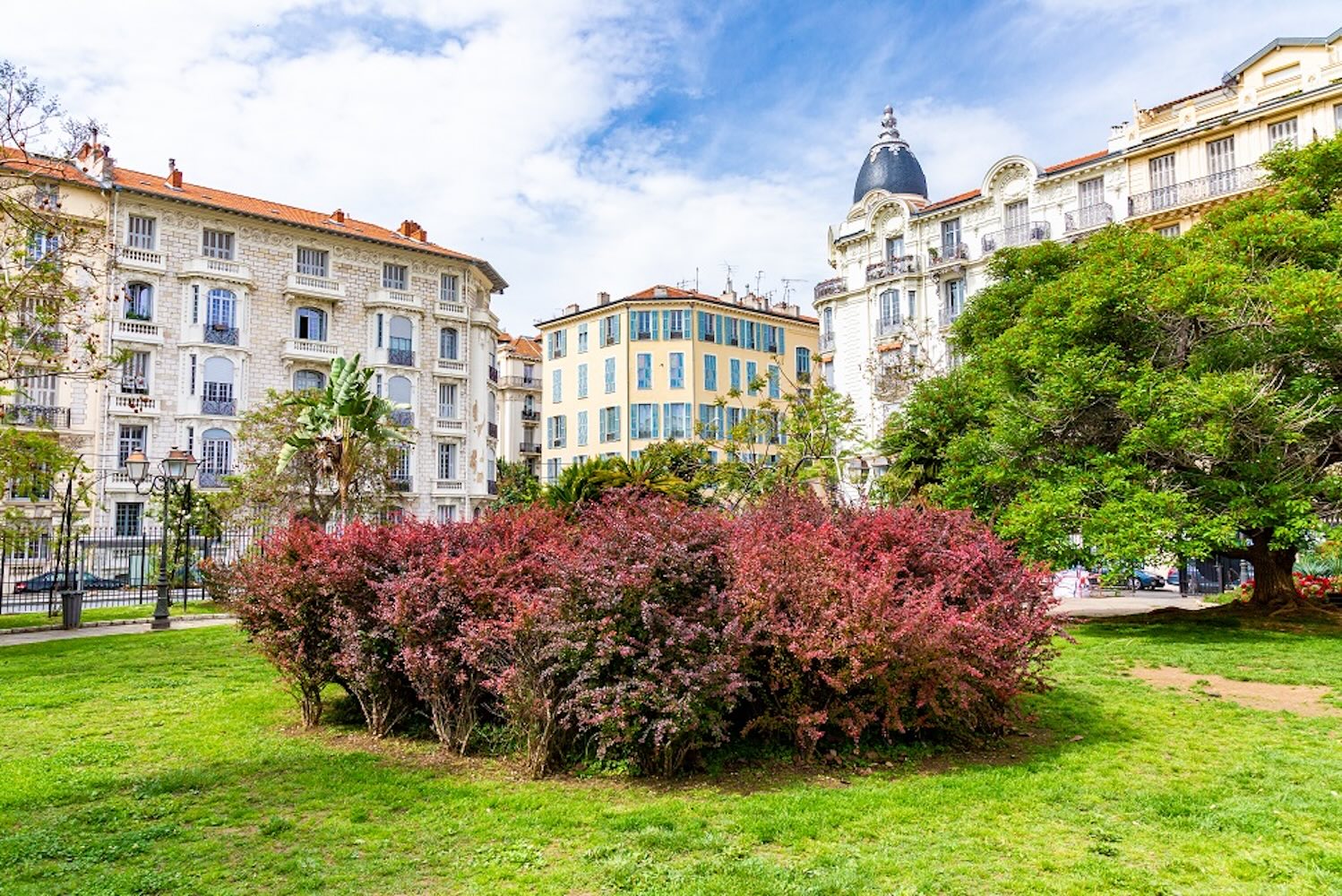 Colorful bushes in the foreground with a backdrop of elegant buildings and a bright blue sky in Nice, France.