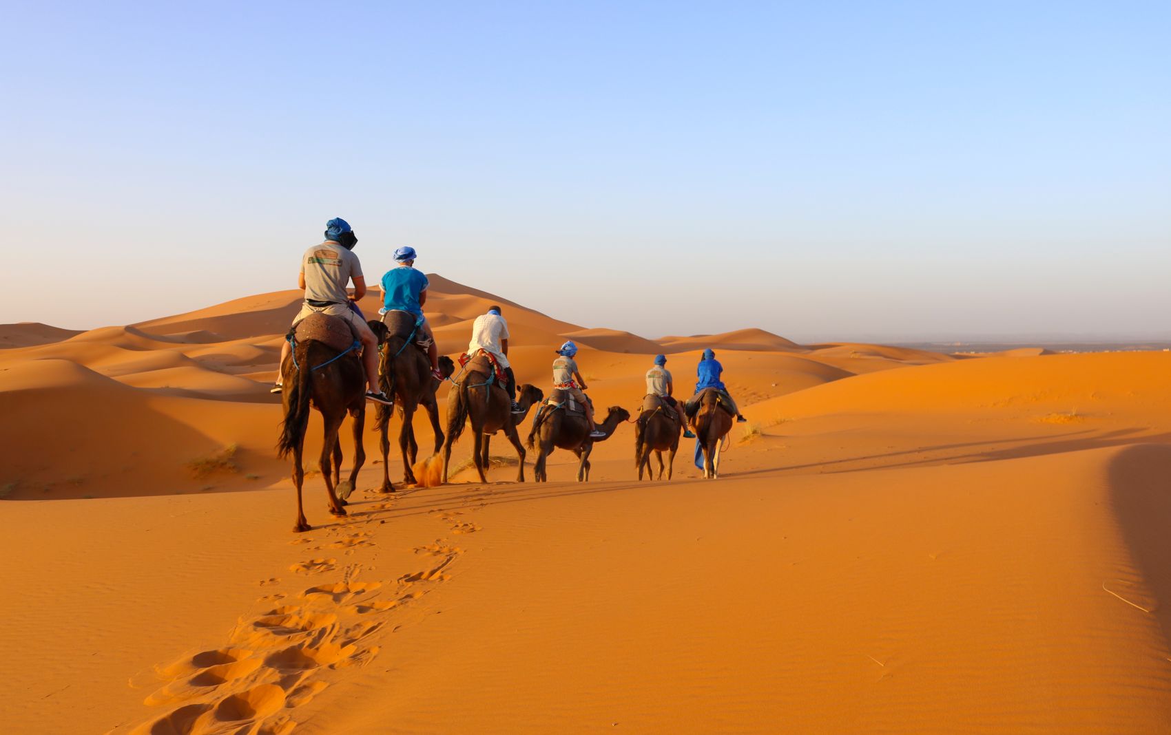 A group of travelers on camels crossing the sandy dunes of Morocco during a sunset.