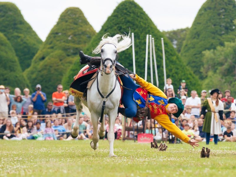 A performer in colorful costume falls from a galloping horse during a live show in front of a large audience at Hampton Court Palace.