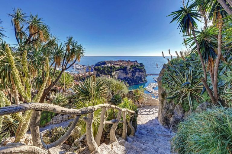 Lush greenery surrounds a stone staircase leading down to the Mediterranean coast with a view of a coastal town.