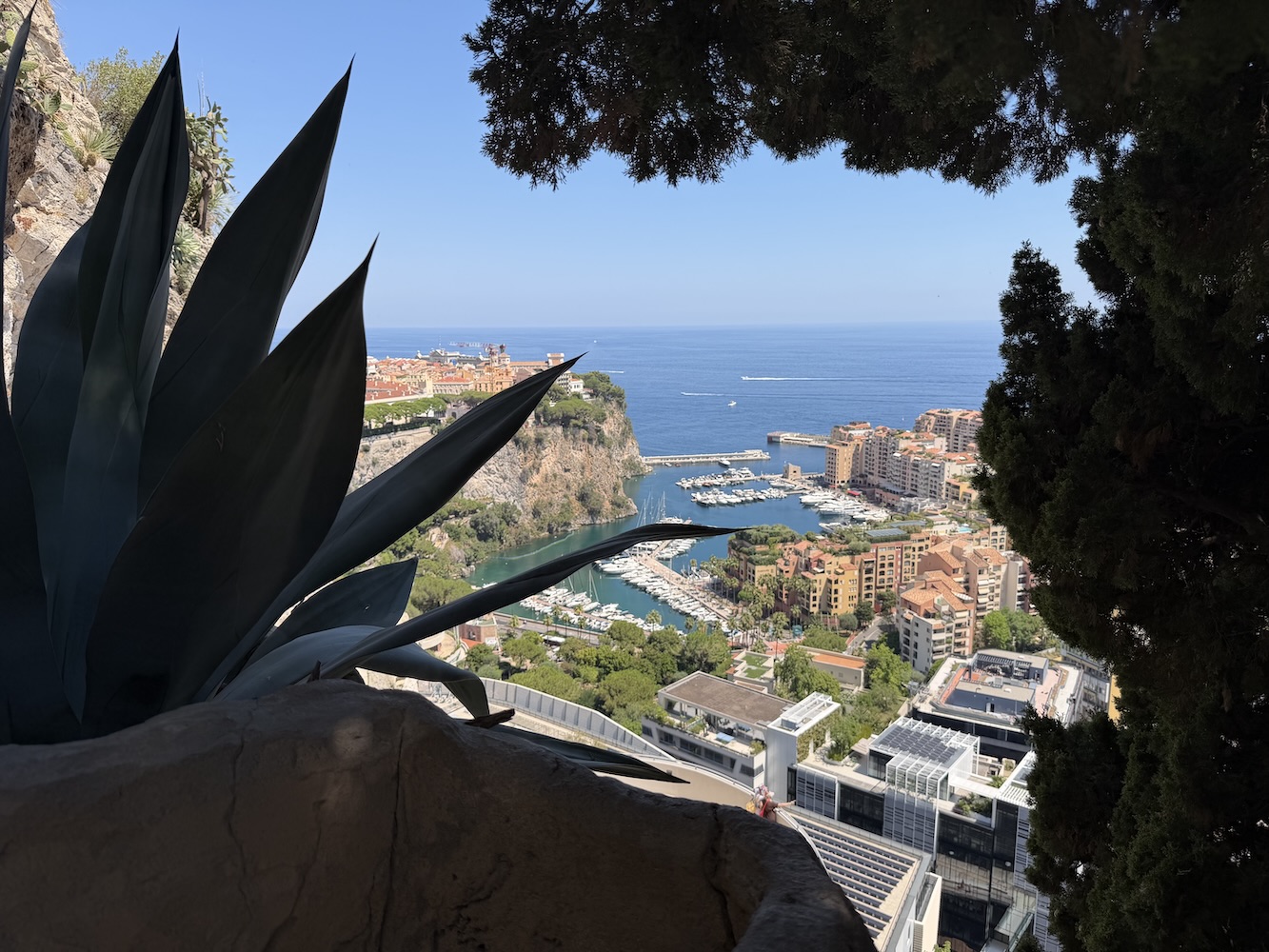 View from Monaco's Jardin Exotique overlooking the Mediterranean Sea and harbor filled with boats and colorful buildings.
