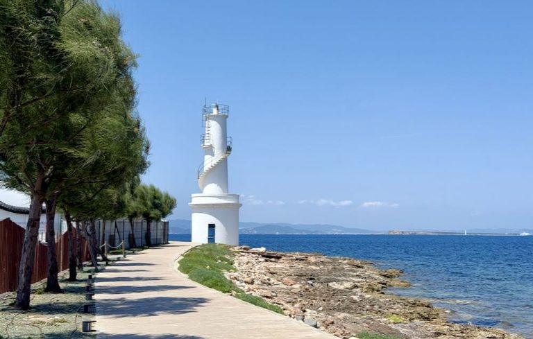 A coastal pathway in Formentera lined with trees, leading to a white lighthouse beside the turquoise sea under a clear blue sky.