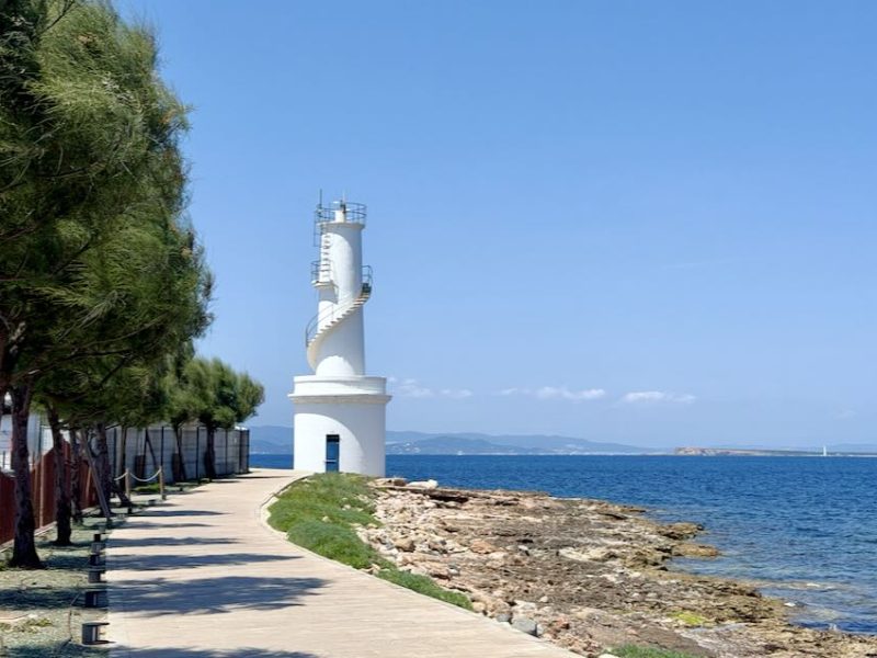 A coastal pathway in Formentera lined with trees, leading to a white lighthouse beside the turquoise sea under a clear blue sky.