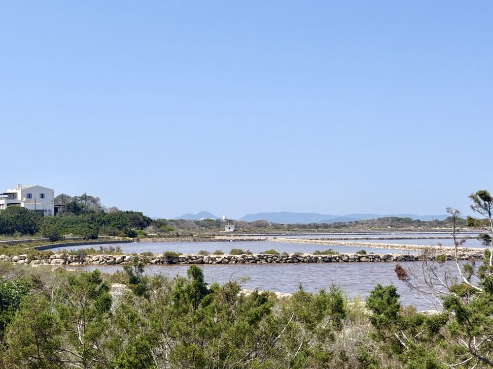 Coastal view of Formentera, featuring salt flats, greenery, and distant mountains under a clear blue sky.