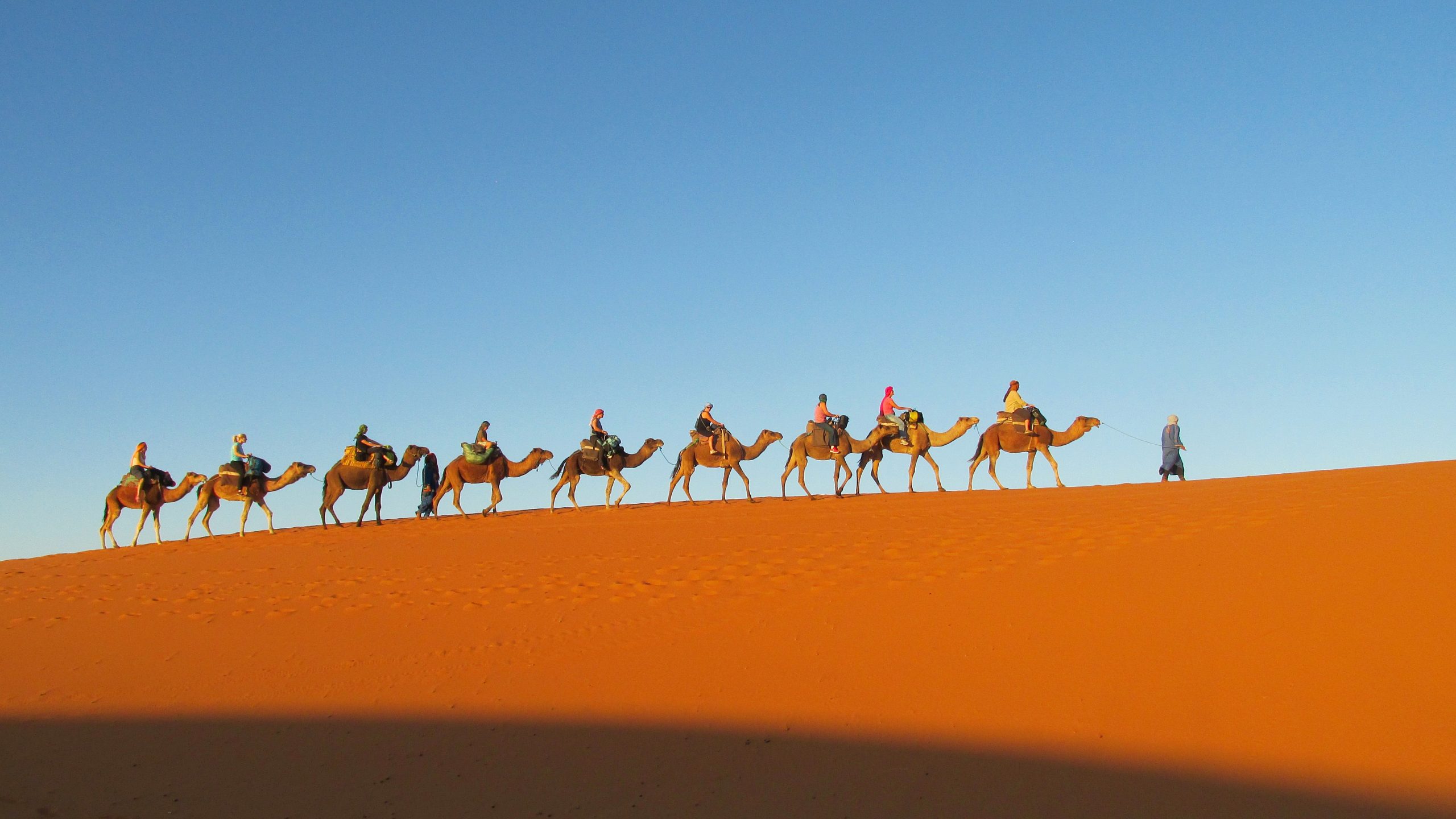 A caravan of camels and riders walking across a sandy dune under a clear blue sky in Morocco.
