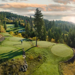 Golfer preparing to tee off on the 15th hole at CDA National Reserve, surrounded by lush trees and scenic hills.