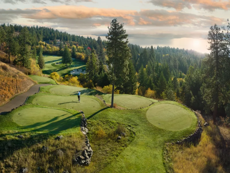 Golfer preparing to tee off on the 15th hole at CDA National Reserve, surrounded by lush trees and scenic hills.
