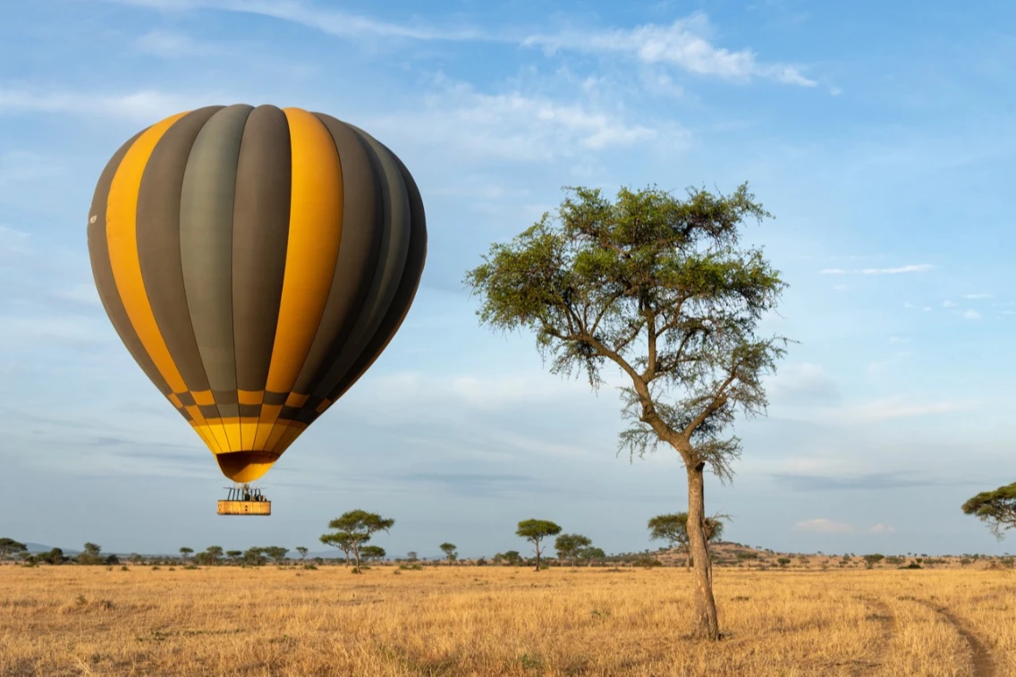 A hot air balloon flies over a grassy plain, with a tree nearby and a clear sky in the background.