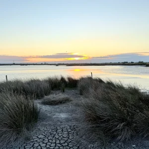 Sunset over calm waters with tall grass and dried earth, highlighting the natural beauty of the Aigues-Mortes landscape.