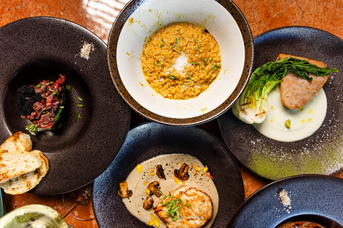An assortment of gourmet dishes, including risotto, seafood, and vegetables, beautifully presented on stylish plates.