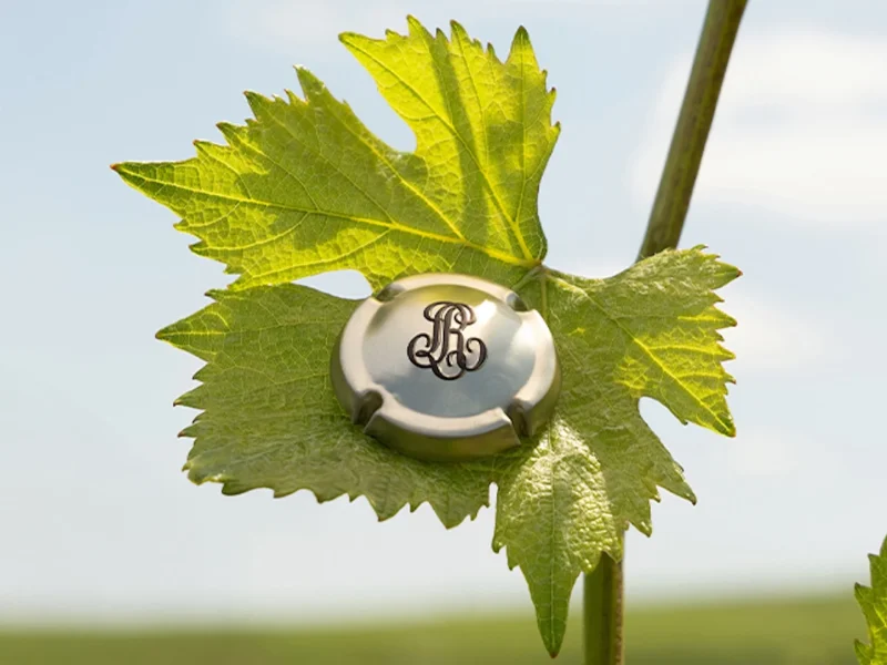 A champagne capsule rests on a green vine leaf against a bright sky, symbolizing Louis Roederer's 250th anniversary.