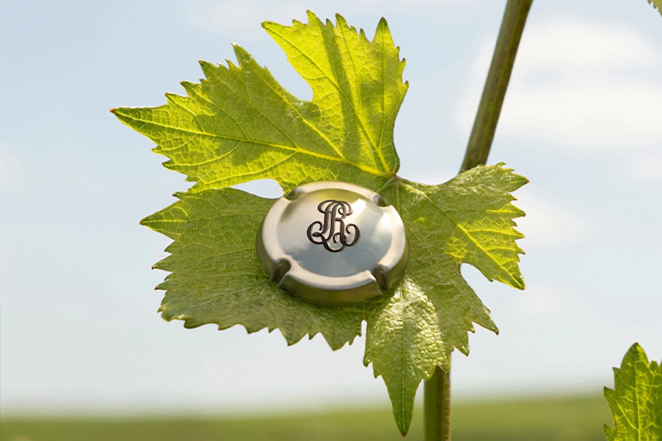 A champagne capsule rests on a green vine leaf against a bright sky, symbolizing Louis Roederer's 250th anniversary.