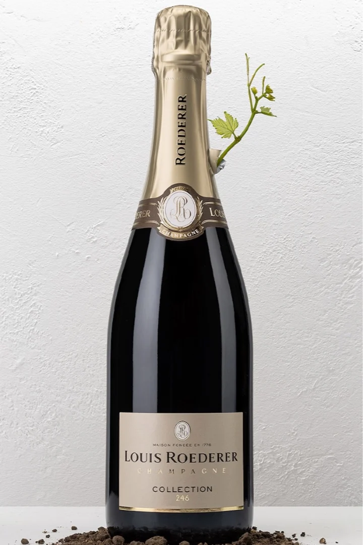 Louis Roederer champagne bottle from the collection 246 with a small vine sprout against a textured white background.