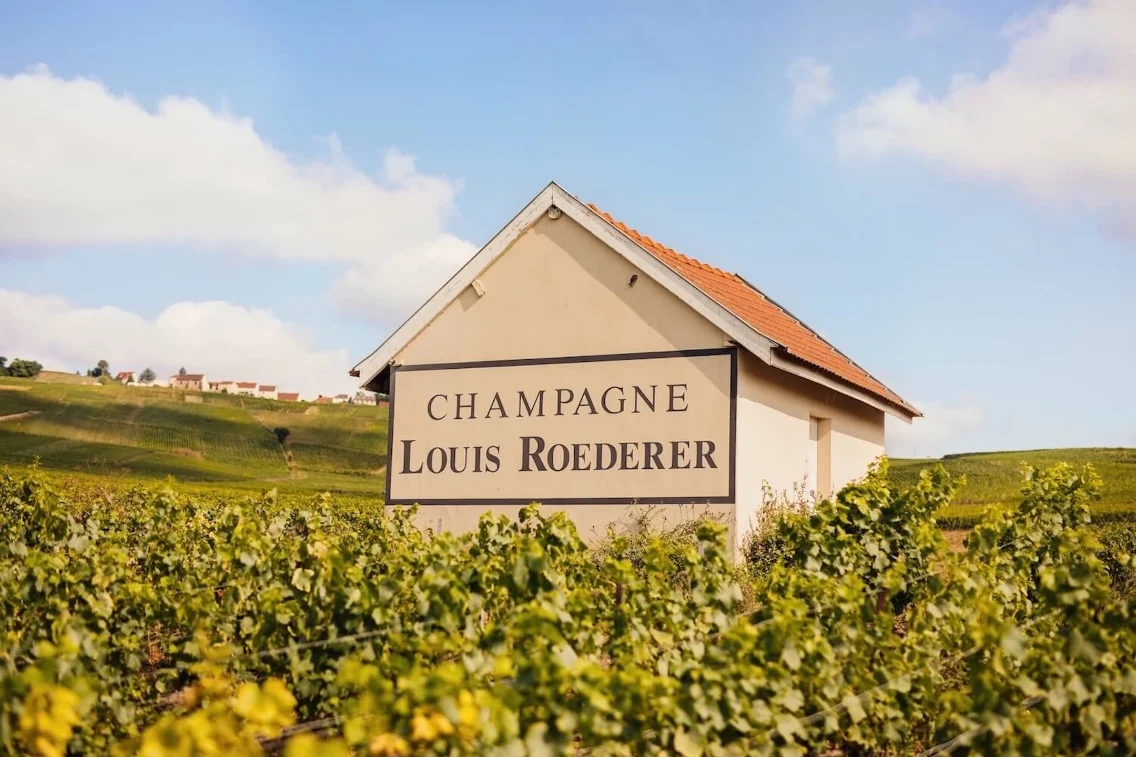 Champagne Louis Roederer sign in front of lush vineyards under a clear blue sky.