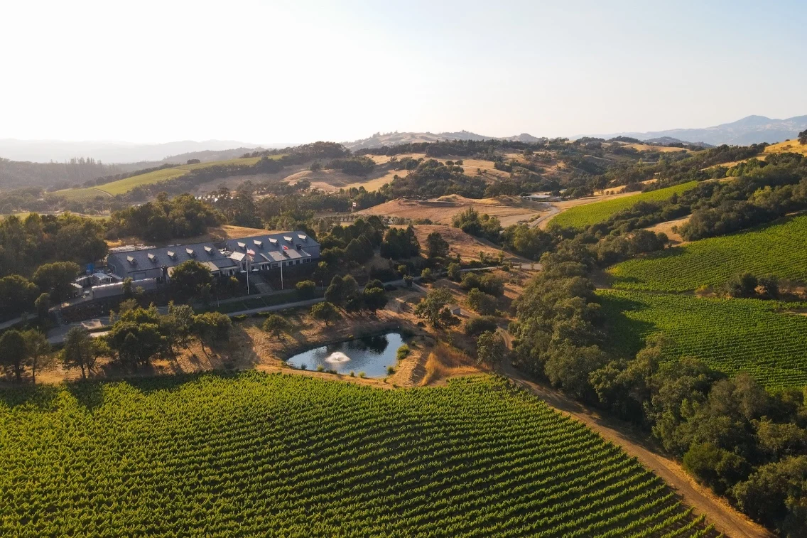 Expansive vineyards surround a modern winery nestled in the hills of Healdsburg, with a tranquil pond nearby.