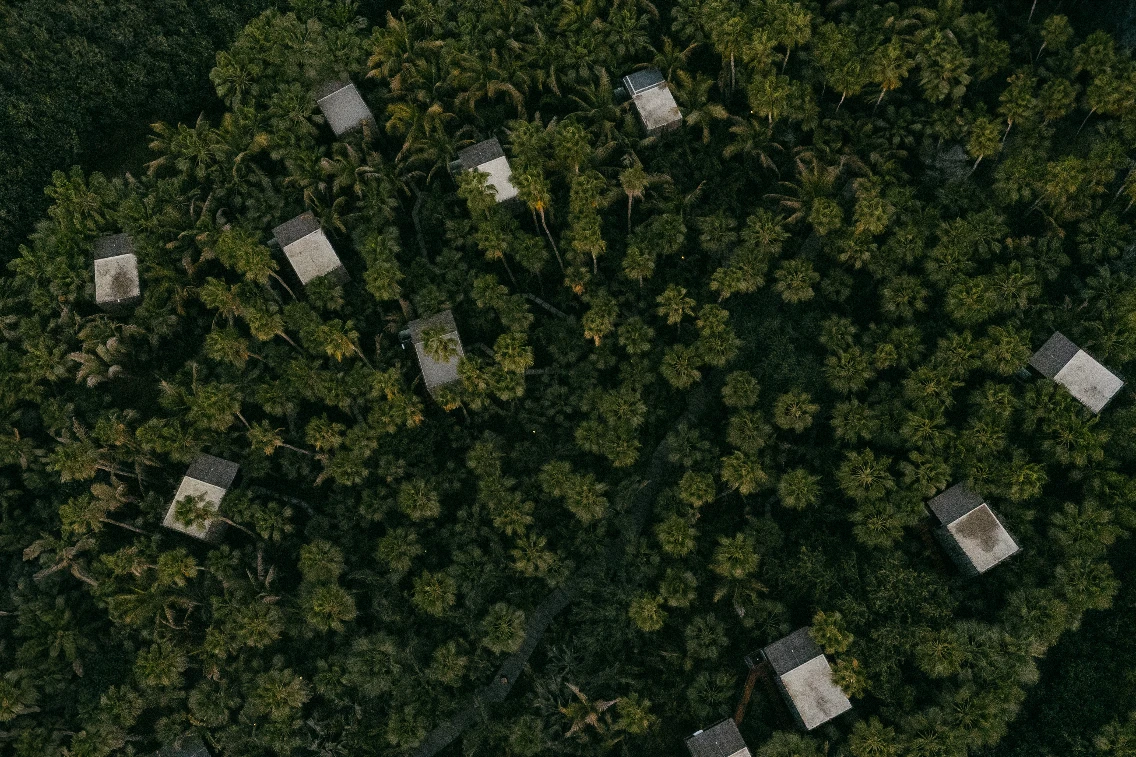Aerial view of treehouses surrounded by lush greenery at Acre Resort in Los Cabos.
