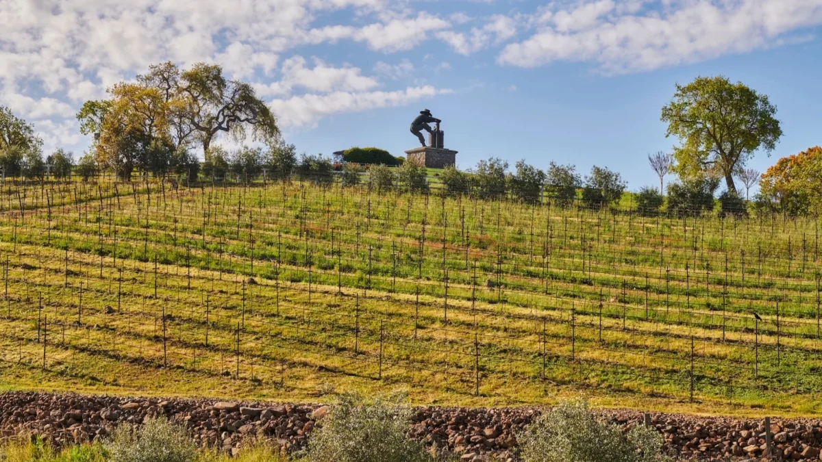 Vineyard rows stretch across a hill, with a statue overlooking the Napa Valley landscape under a bright blue sky.
