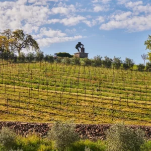 Vineyard rows stretch across a hill, with a statue overlooking the Napa Valley landscape under a bright blue sky.