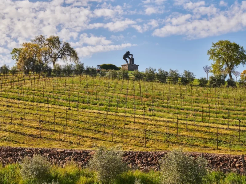 Vineyard rows stretch across a hill, with a statue overlooking the Napa Valley landscape under a bright blue sky.