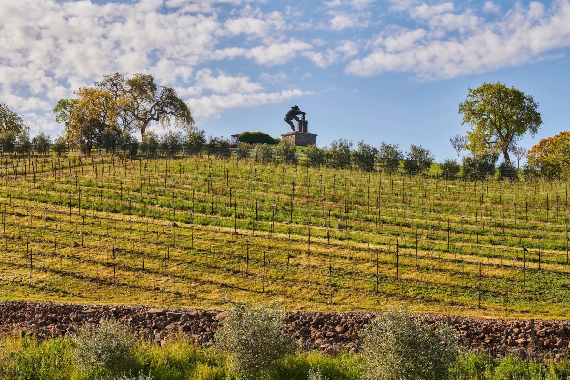 Vineyard rows stretch across a hill, with a statue overlooking the Napa Valley landscape under a bright blue sky.