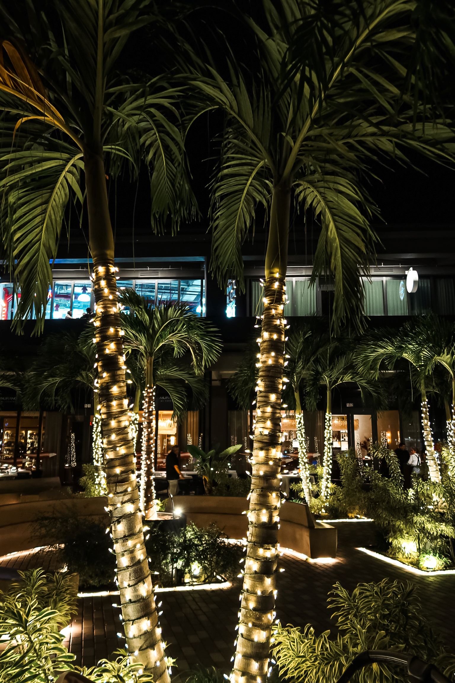 Palm trees adorned with lights create a vibrant atmosphere outside The Wagyu House, showcasing a modern steakhouse experience.