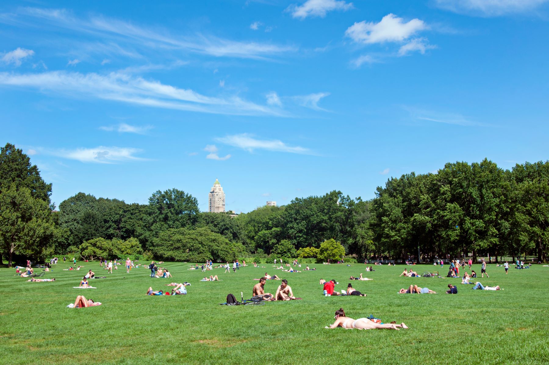 Visitors relax on the grass in Central Park’s Upper West Side, with green trees and a blue sky in the background.