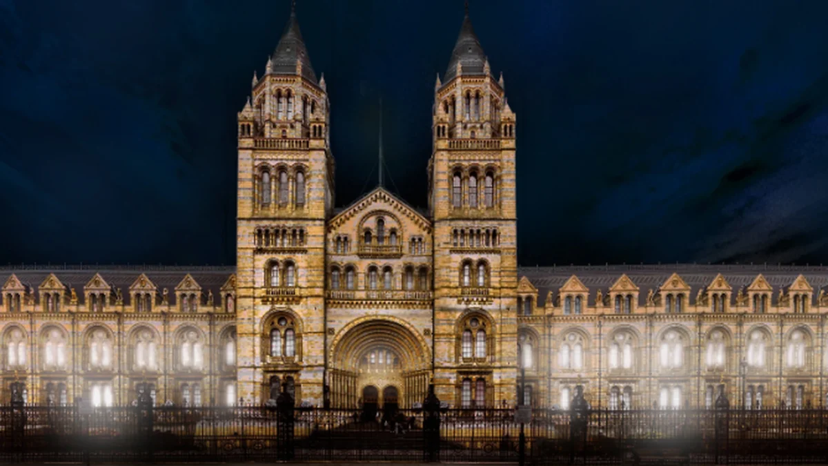 Natural History Museum illuminated at night, showcasing its stunning architecture and lighting design.