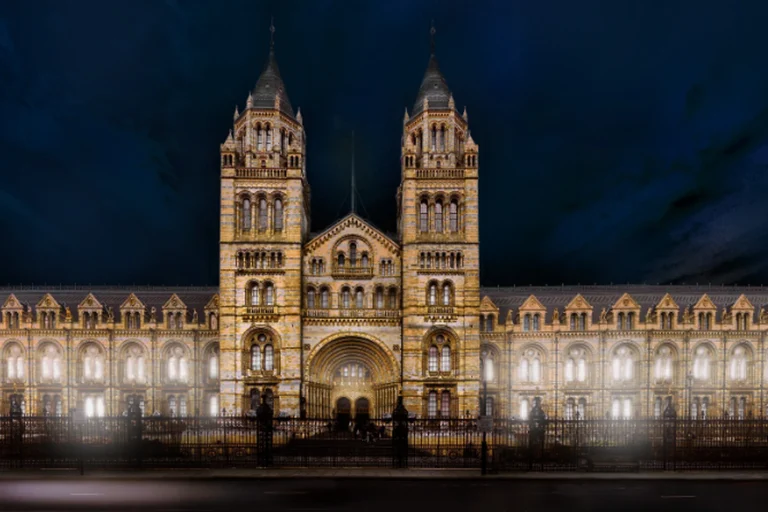 Natural History Museum illuminated at night, showcasing its stunning architecture and lighting design.