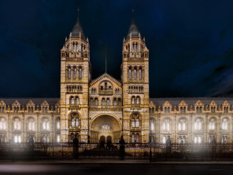 Natural History Museum illuminated at night, showcasing its stunning architecture and lighting design.