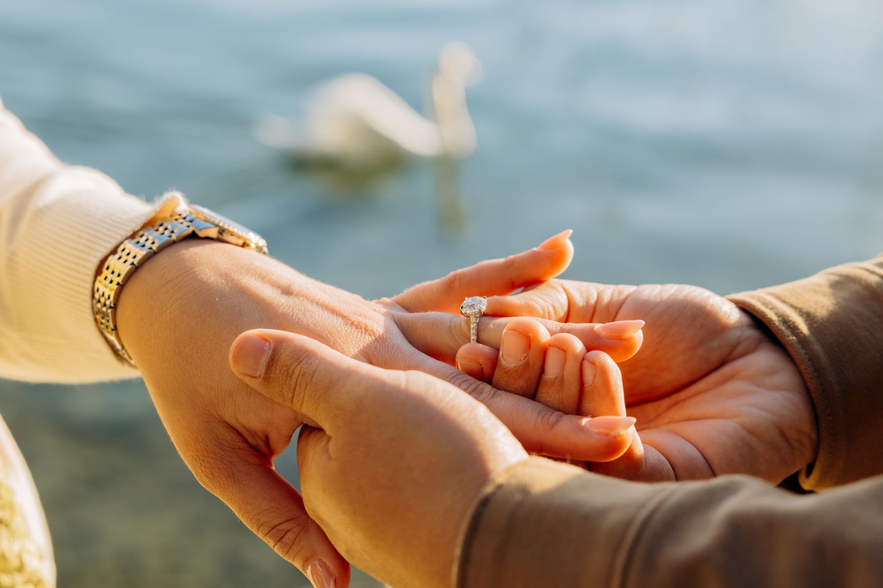 Hands exchanging a luxury engagement ring, with a soft-focus background of a serene outdoor setting.